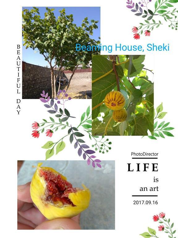 Beaming_House Hotel เชกี ภายนอก รูปภาพ